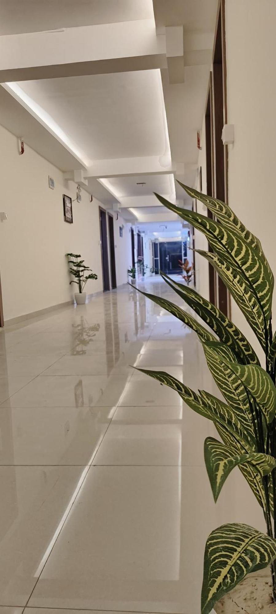 Hotel Royal Night دامان المظهر الخارجي الصورة